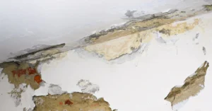 How to Choose a Water Damage Restoration Company?