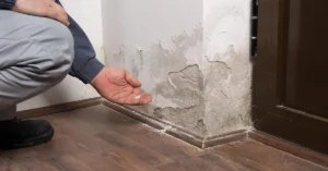 How to Choose a Water Damage Restoration Contractor?
